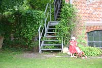 IMG_8856