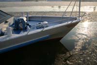 Elbe