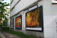 IMG_0037