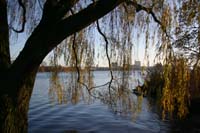 IMG_4384