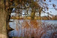 IMG_4394