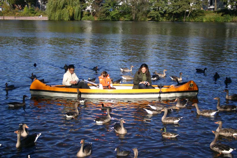 Alster,