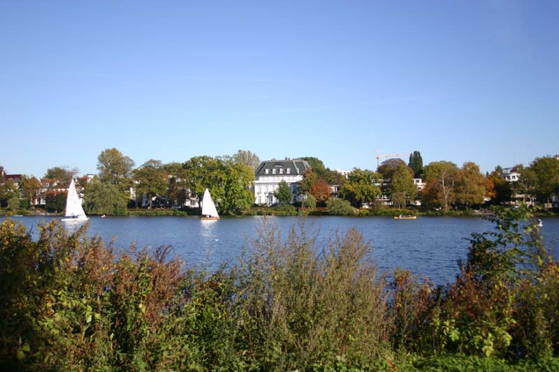 Bellevue