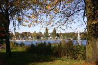 IMG_5232