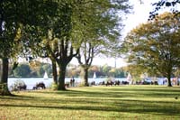 IMG_5354