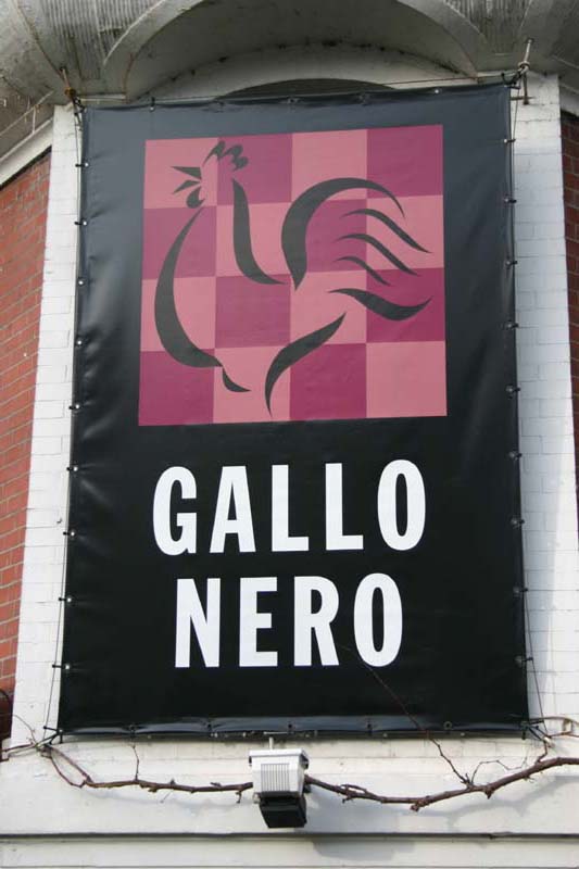 gallo