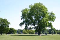 stadtpark