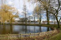 IMG_6480
