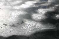Eis auf der Alster, reicht aber 2010 nicht zum Schlittschuh laufen