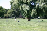 alster