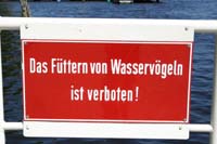 wasservgel