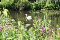 Alster