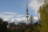 IMG_8739