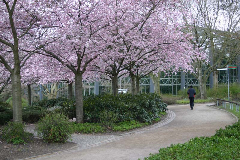 Laufstrecke / Jogging Innenstadt Planten un Blomen