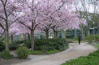 Planten&Blomen