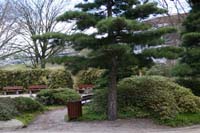 IMG_8658